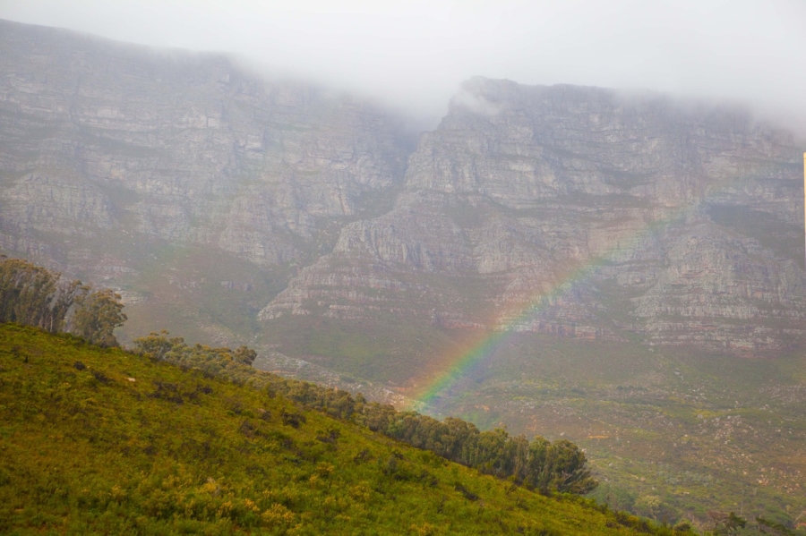 To Let 0 Bedroom Property for Rent in Vredehoek Western Cape